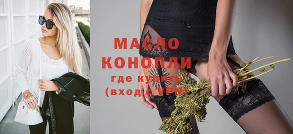 молекула духа Богородицк