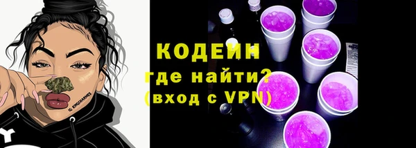 мдпв Бородино