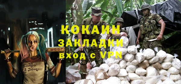 молекула духа Богородицк