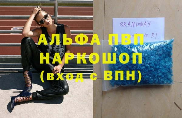 молекула духа Богородицк